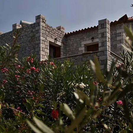Villa Stone Luxury *